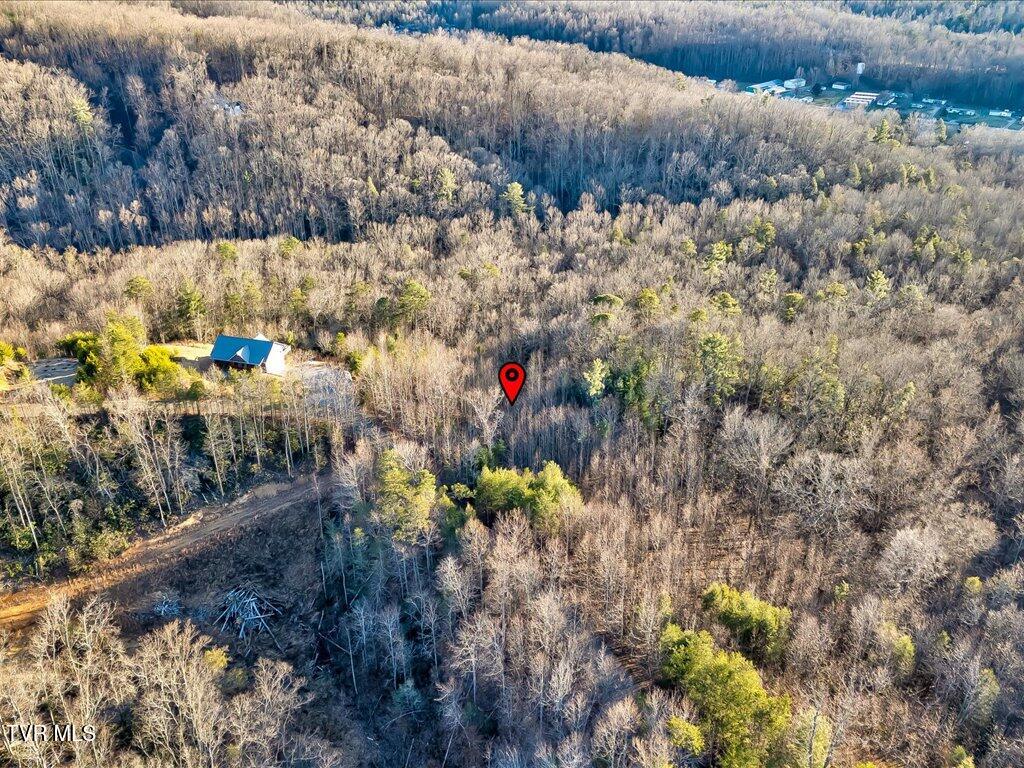 Lot 31 Sonshine Ridge Road, Unit 31 Cosby, TN 37722 - Photo 17 of 25 Lot 31 Sonshine Ridge Rd - 17