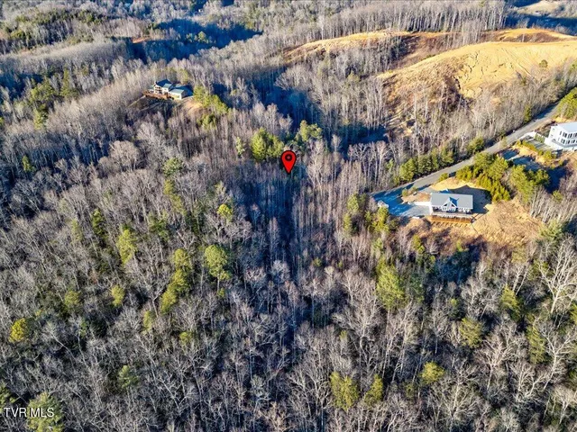 $99,000 | Lot 31 Sonshine Ridge Road, Unit 31, Cosby, TN 37722