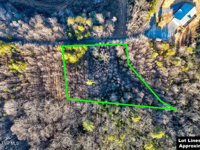 $99,000 | Lot 31 Sonshine Ridge Road, Unit 31, Cosby, TN 37722