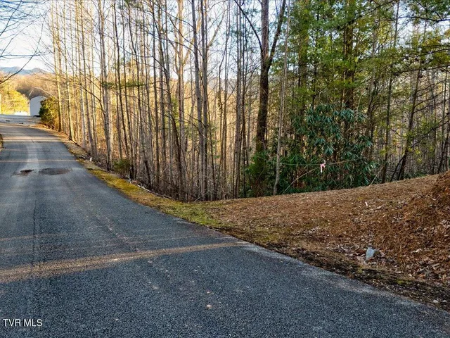 $99,000 | Lot 31 Sonshine Ridge Road, Unit 31, Cosby, TN 37722