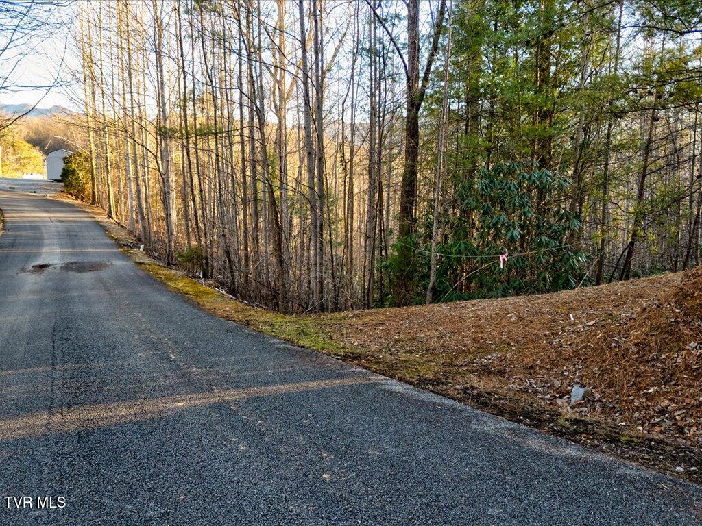 Lot 31 Sonshine Ridge Road, Unit 31 Cosby, TN 37722 - Photo 5 of 25 Lot 31 Sonshine Ridge Rd - 5