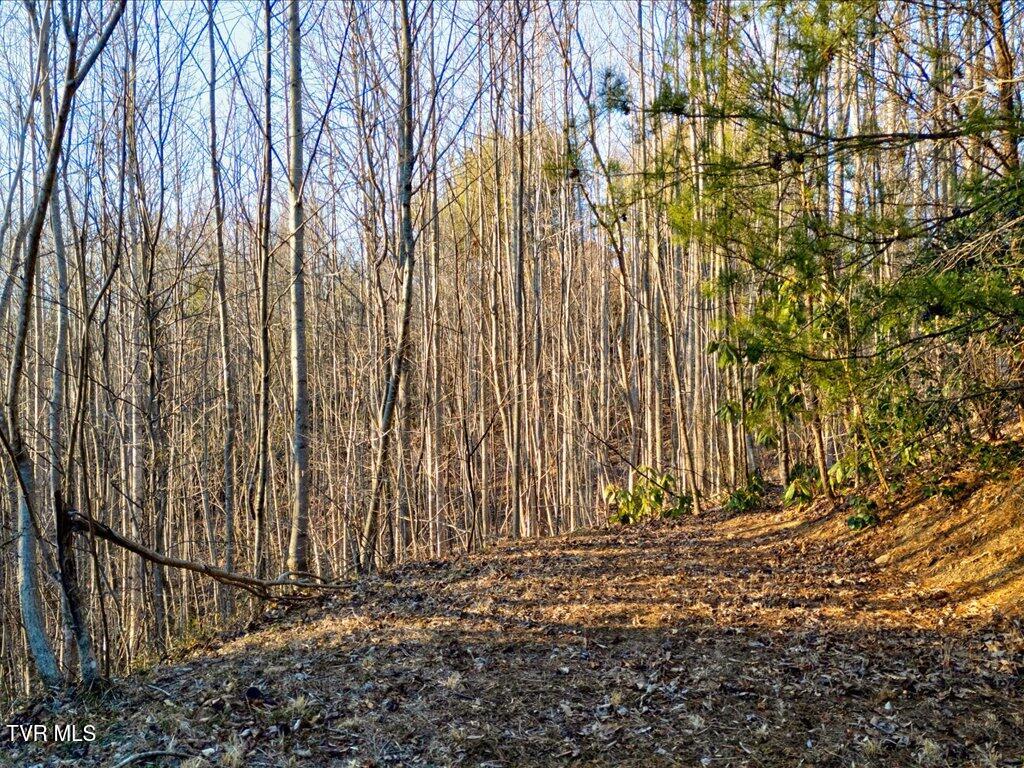 Lot 31 Sonshine Ridge Road, Unit 31 Cosby, TN 37722 - Photo 7 of 25 Lot 31 Sonshine Ridge Rd - 7