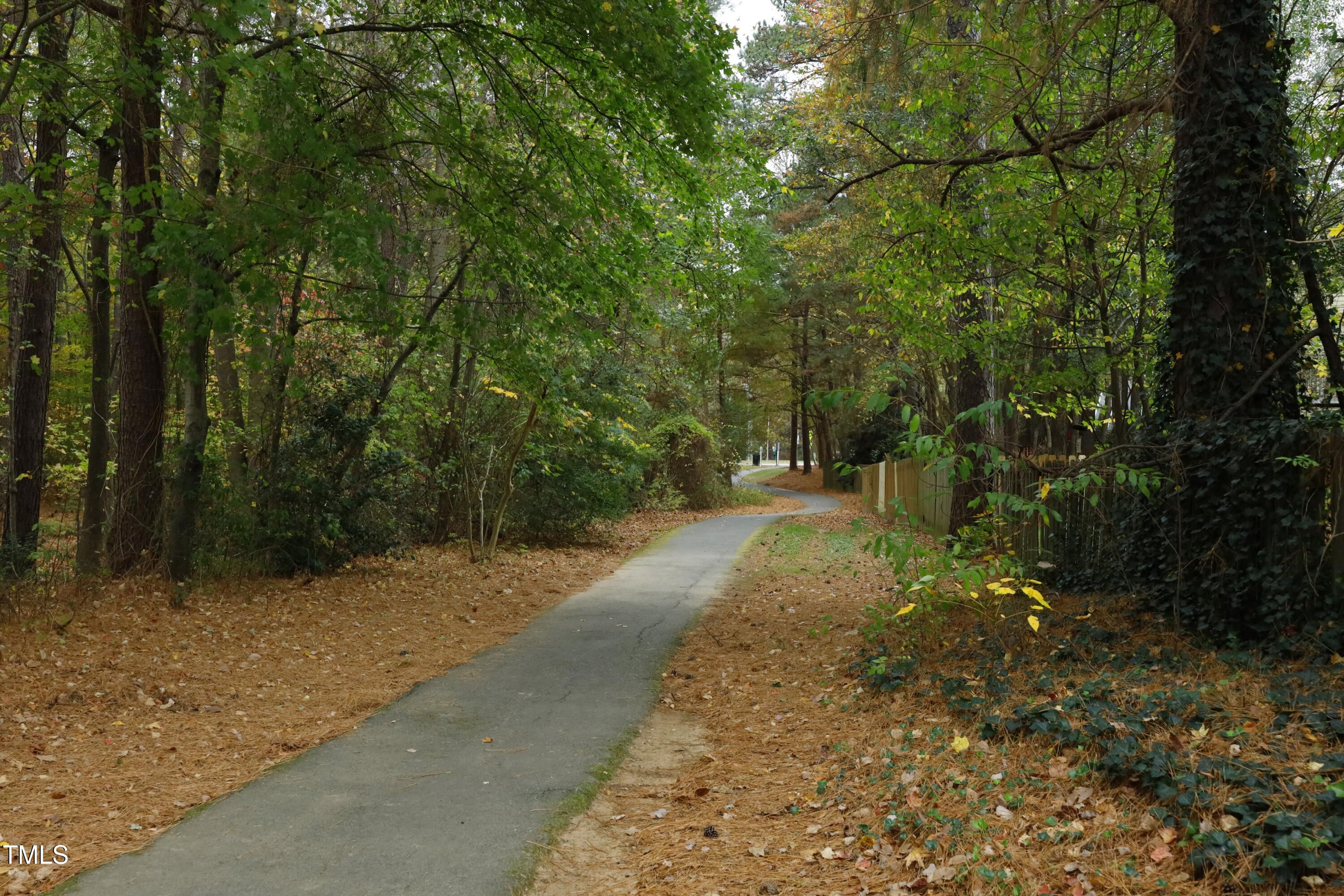 5513 Edgebury Road Raleigh, NC 27613 - Photo 30 of 34 a view of a yard with plants and trees