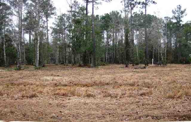 2010 Timmerman Road Myrtle Beach, SC 29588 - Photo 10 of 11 Gallery Image 10