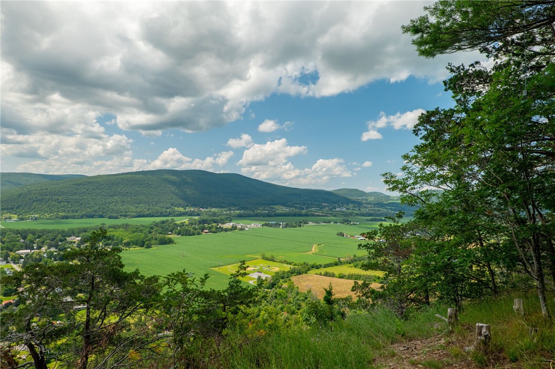 L16 MT Path Middleburgh, NY 12122 - Photo 16 of 29