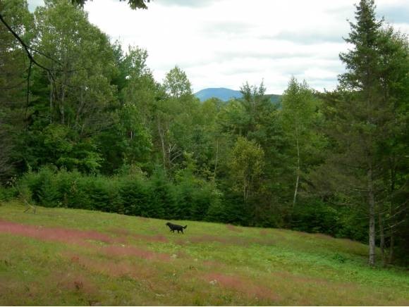 120 Densmore Hill Road Hartland, VT 05048 - Photo 1 of 1 Gallery Image 1