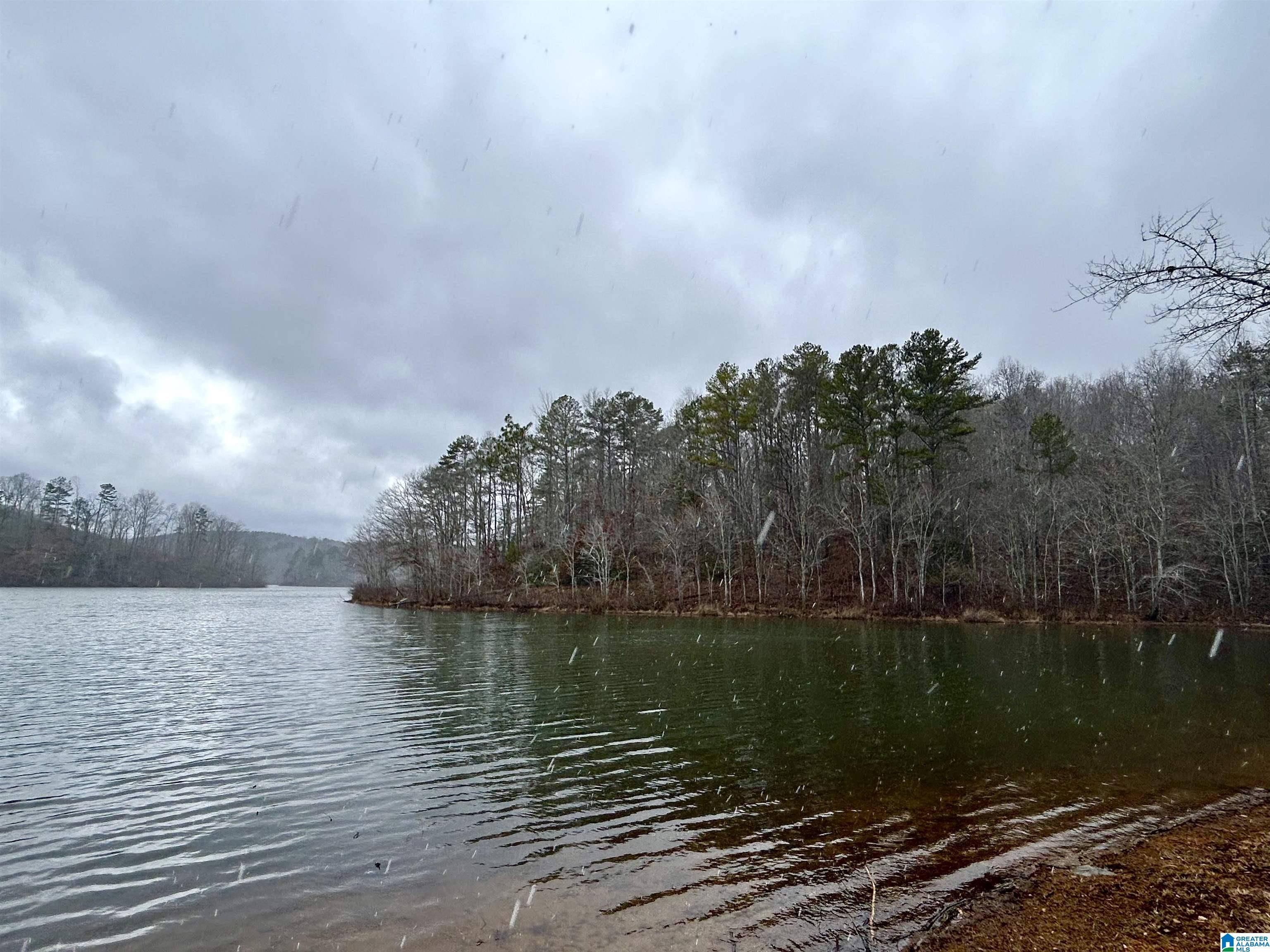 0 Olive Branch Road, Unit 25 Ashland, AL 36251 - Photo 3 of 15
