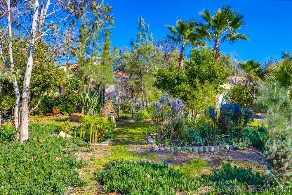 17745 Highway 67 Ramona, CA 92065 - Photo 22 of 24 a view of a yard with plants