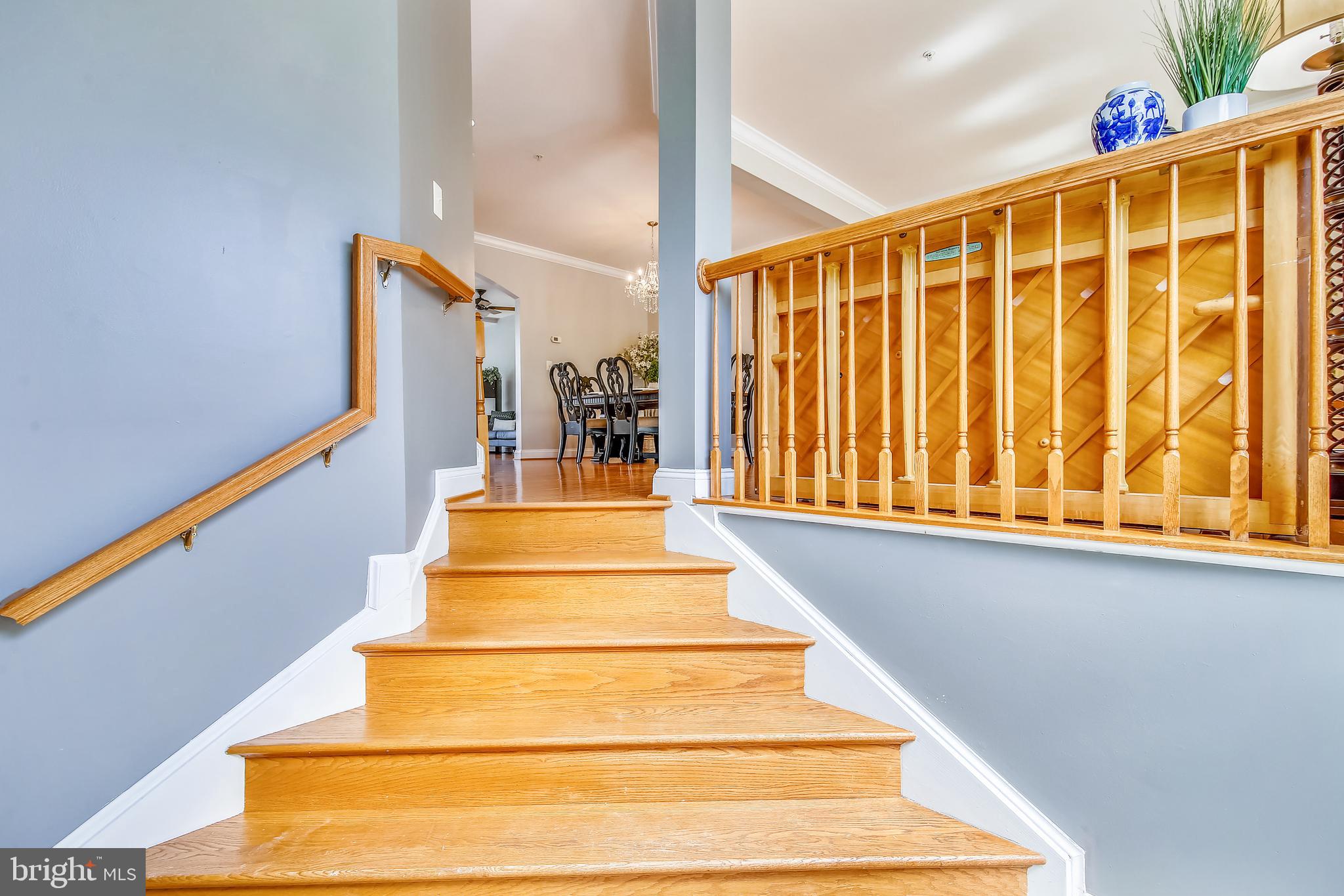 23027 Birch Mead Road Clarksburg, MD 20871 - Photo 12 of 71 Foyer stairs leading to Main Level