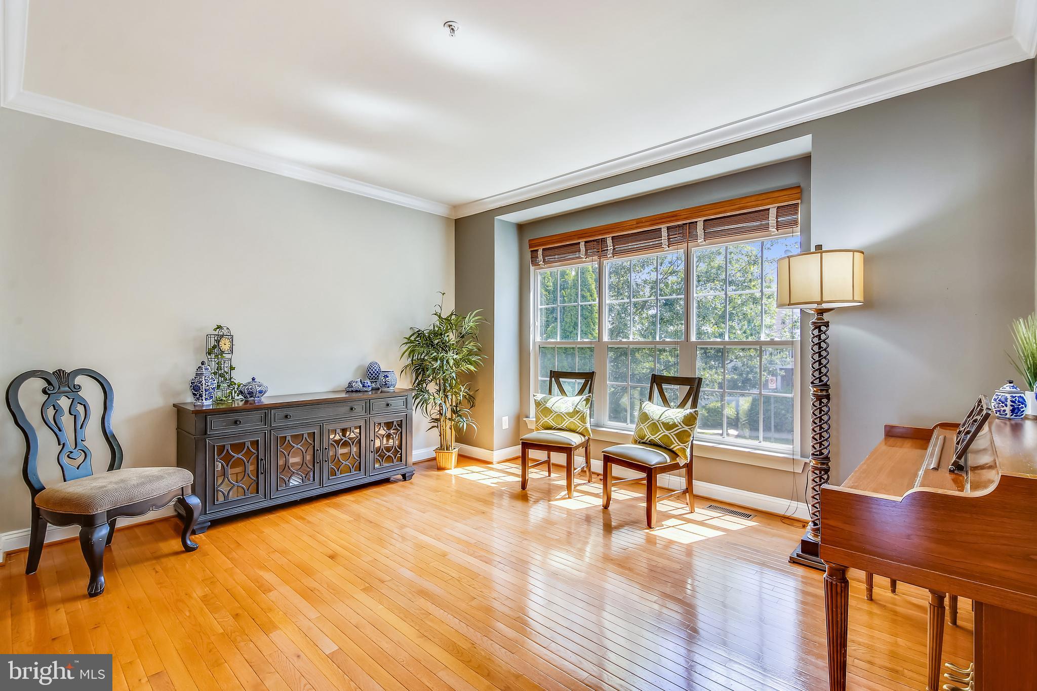 23027 Birch Mead Road Clarksburg, MD 20871 - Photo 13 of 71 Lovely light-filled Living Room