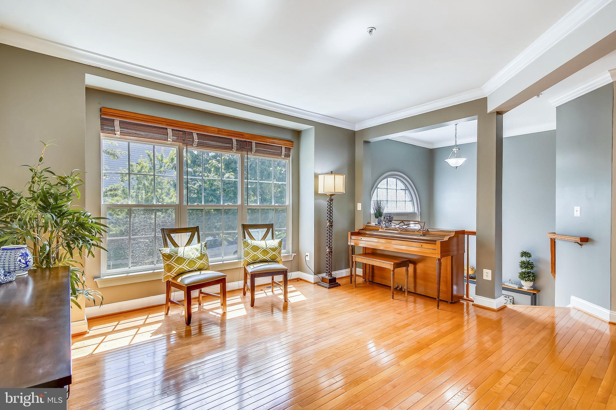 Spacious Light-filled Living Room