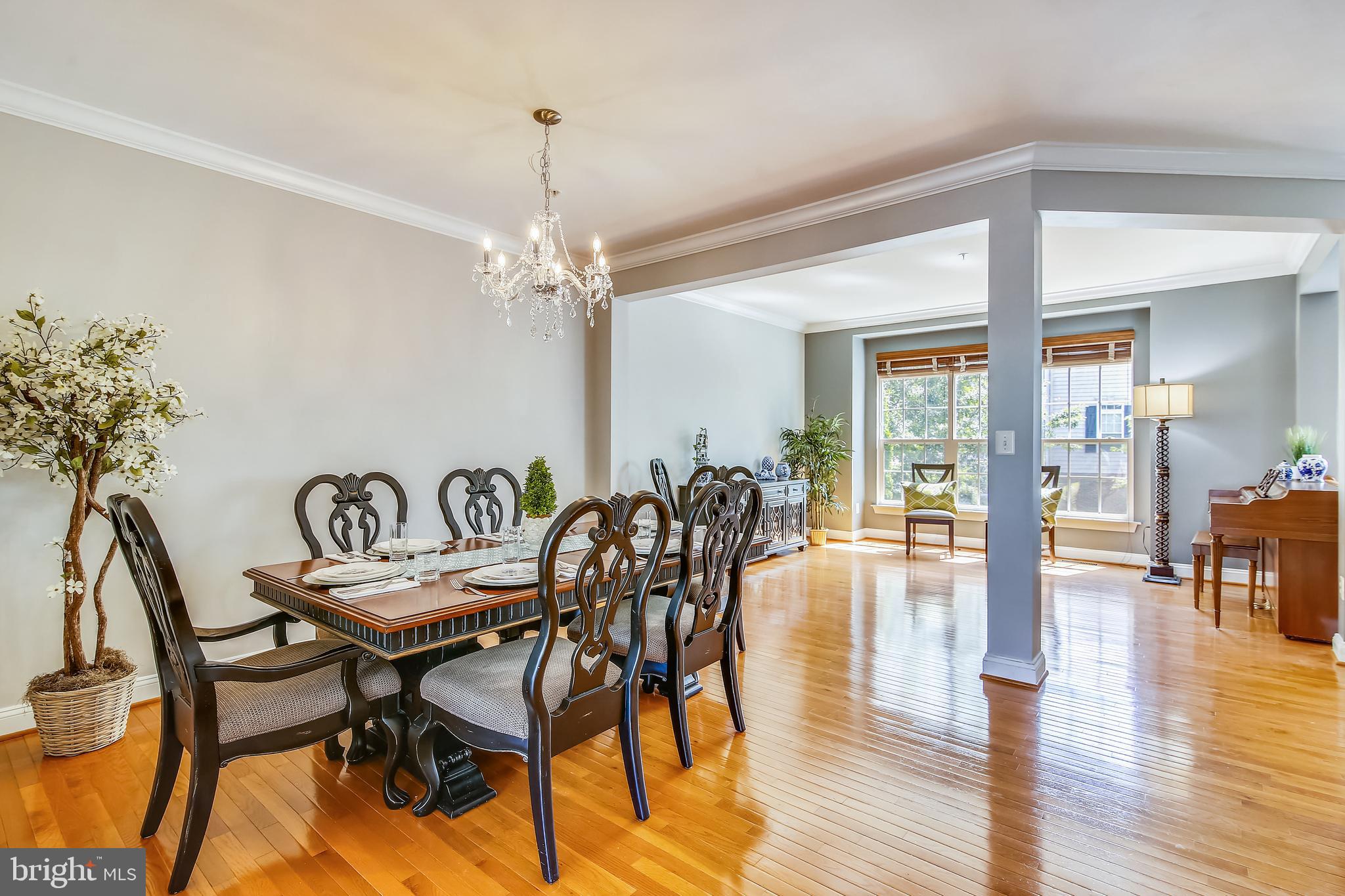 Open airy Dining Room