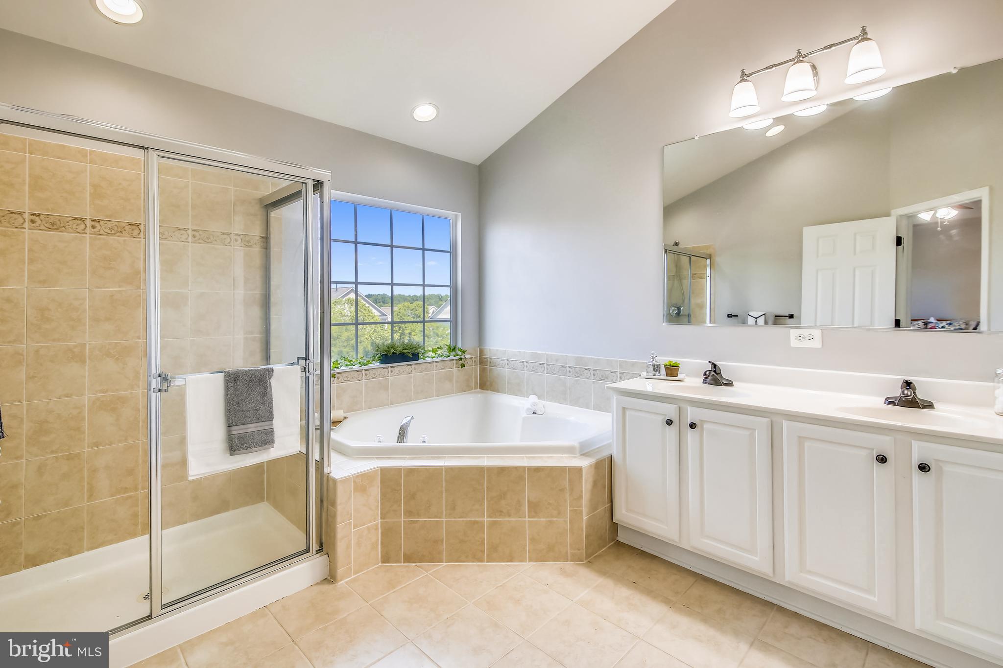 Large Master Bathroom