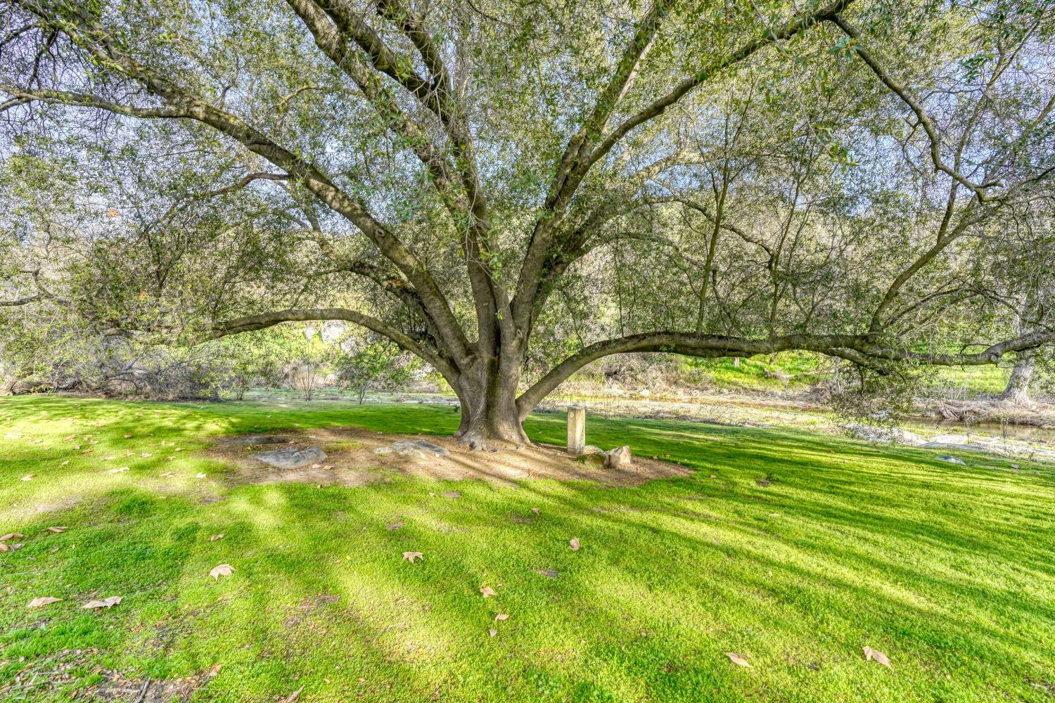 19425 Tollhouse Road Clovis, CA 93619 - Photo 63 of 92 Gallery Image 63