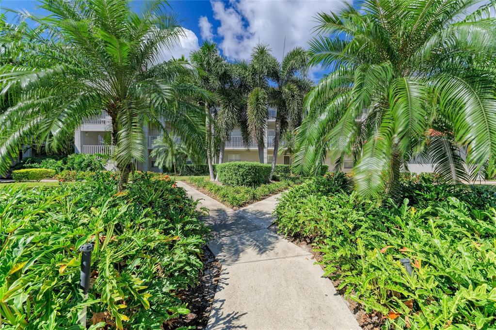a view of a garden with plants