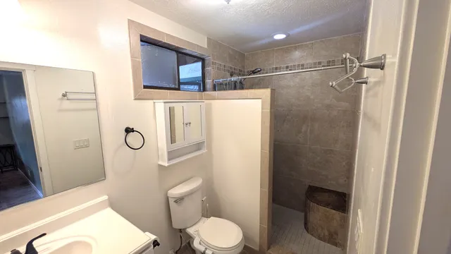 a bathroom with a toilet sink shower and mirror