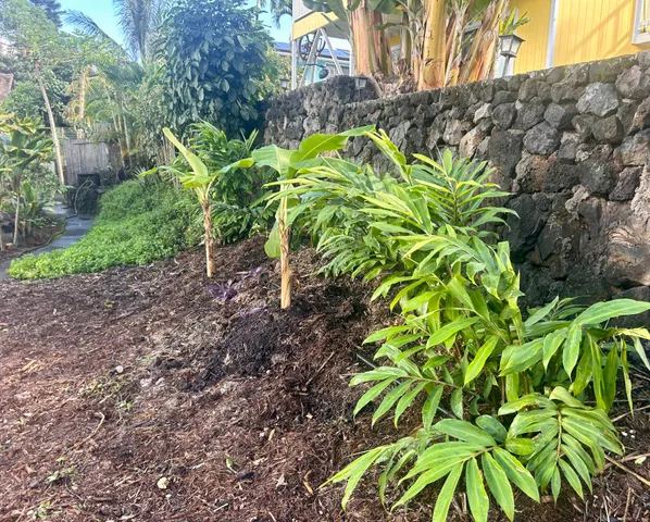 a backyard of a house with lots of green space