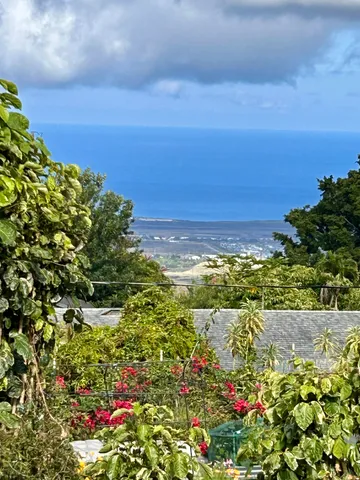 a view of a lake with a building in the background