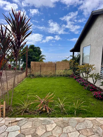 a view of a backyard