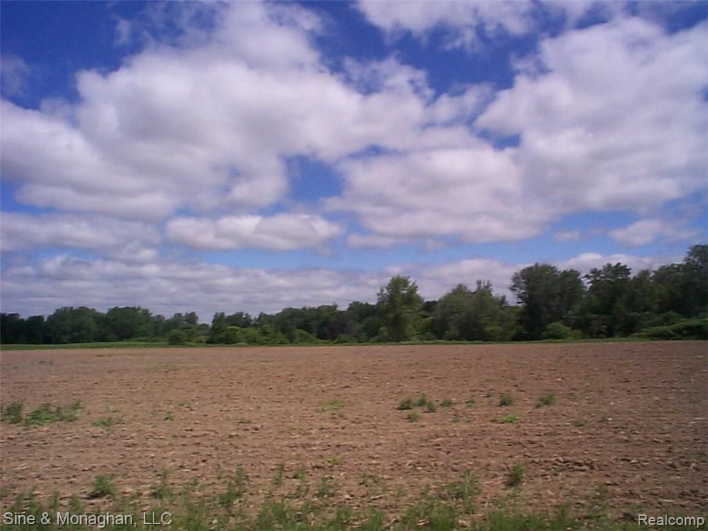 0 Belle River Road, Unit 4 Marine City, MI 48039 - Photo 2 of 4