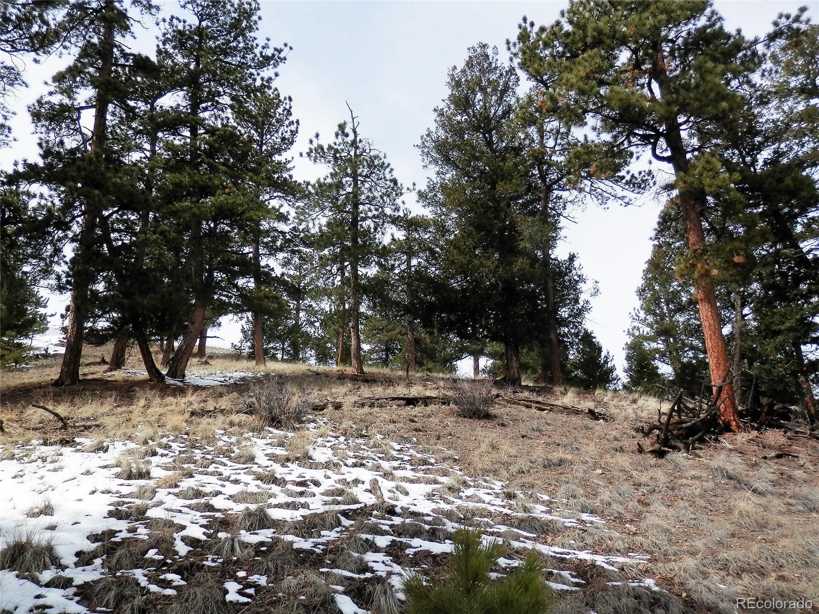 Keokuk Road Hartsel, CO 80449 - Photo 10 of 13 Gallery Image 10