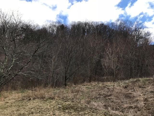 3108 Jamison Mountain Road Covington, VA 24426 - Photo 7 of 42 open-uri20180305-10490-7suwhn