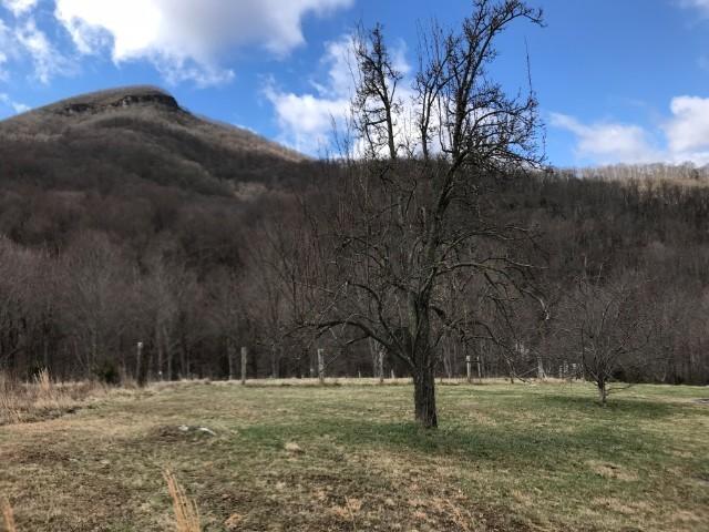 3108 Jamison Mountain Road Covington, VA 24426 - Photo 8 of 42 open-uri20180305-10490-17g90rh