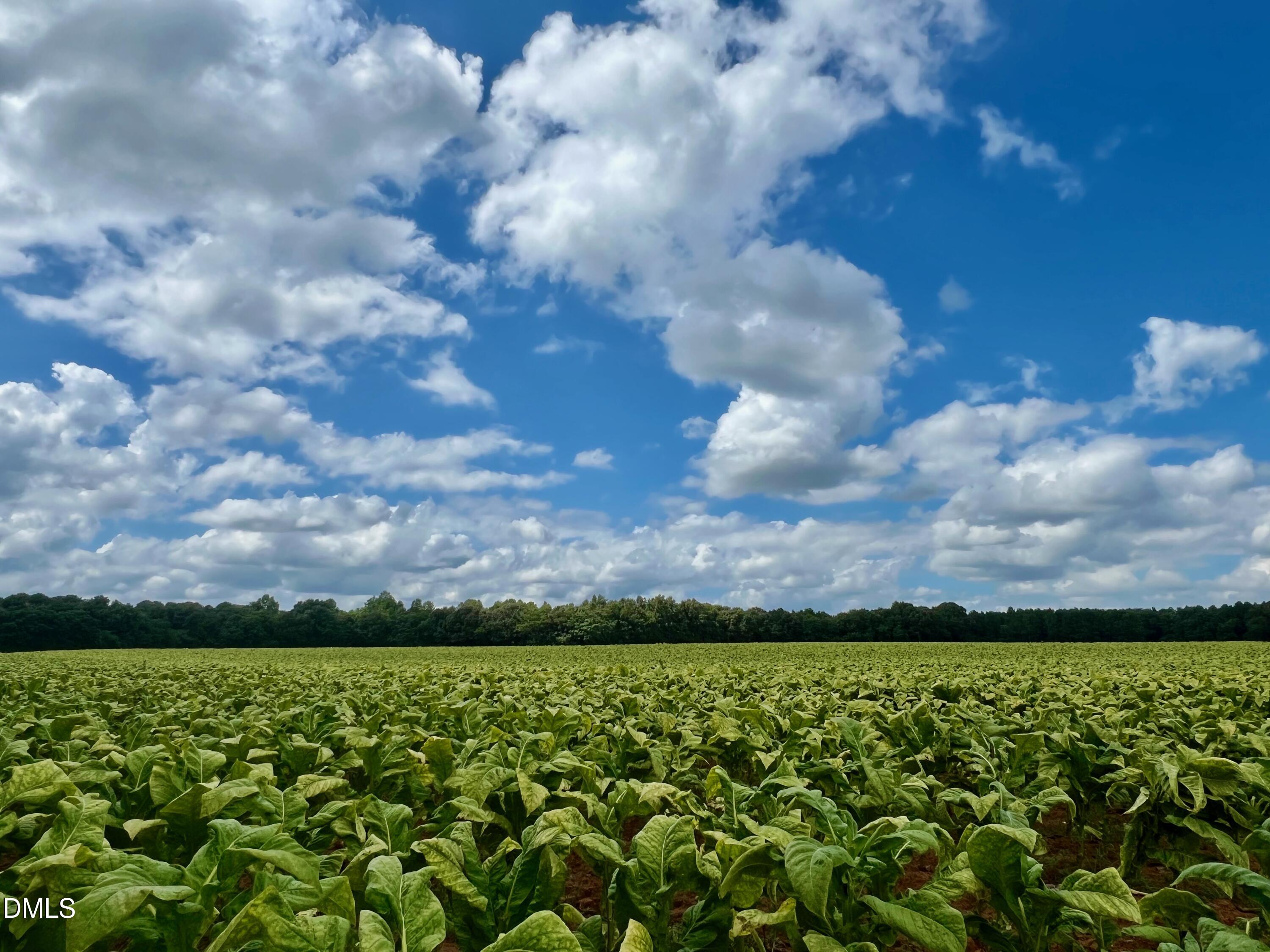 3969 Fletcher Road Bailey, NC 27807 - Photo 40 of 40 IMG_0029
