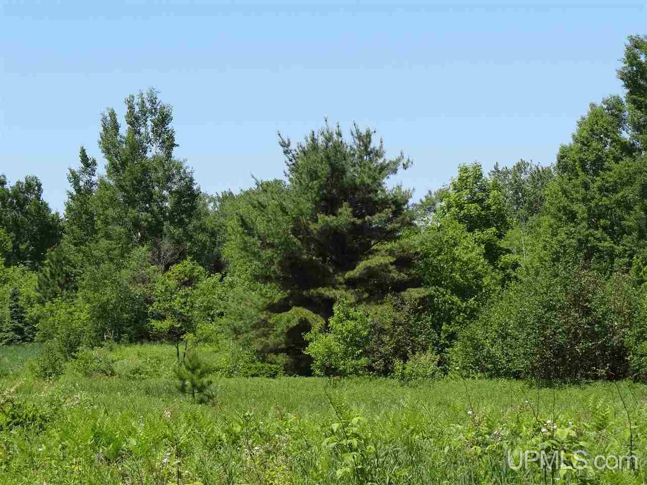 Tbd Seppanen Road Nisula, MI 49952 - Photo 15 of 24 Gallery Image 15