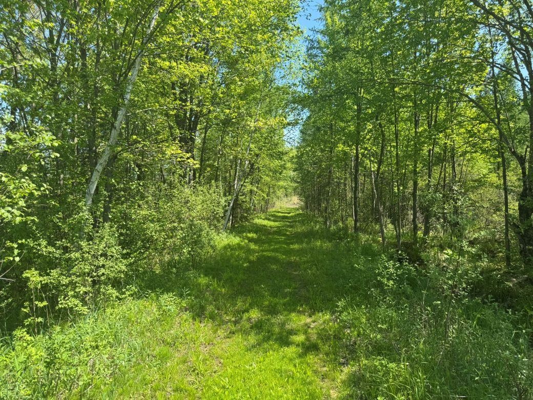 W17810 Eland Road Wittenberg, WI 54499 - Photo 61 of 89