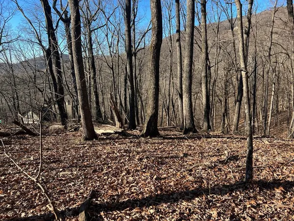 $14,900 | 0 Sassafras Mountain Trail, Jasper, GA 30143