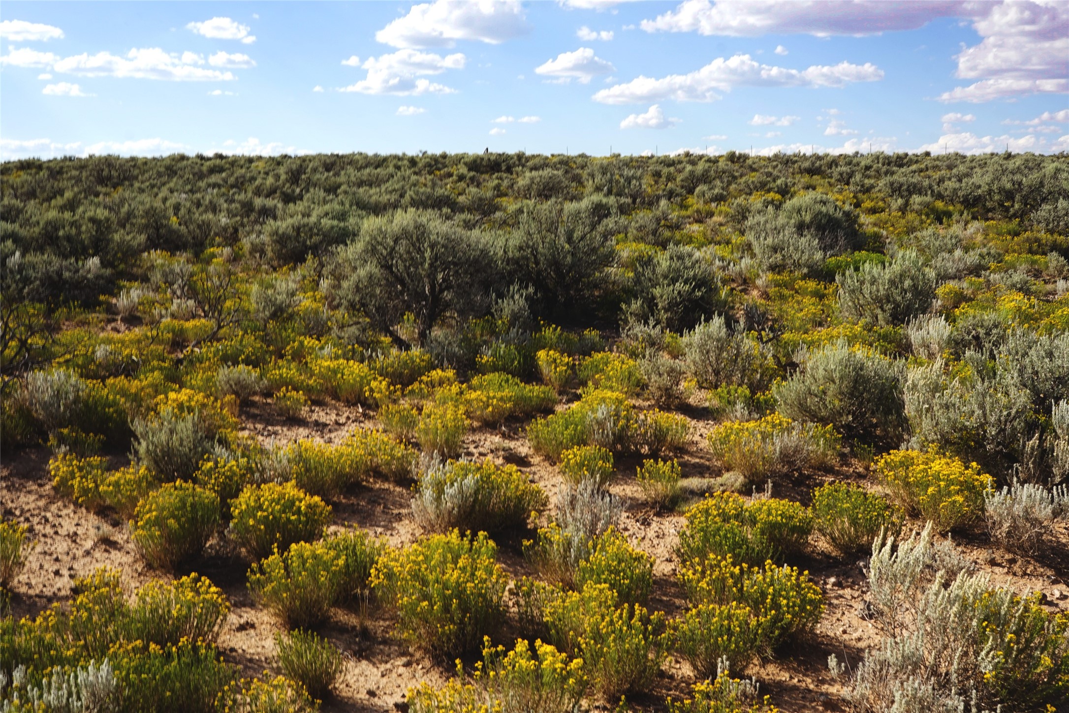 Xx Xx County Road Carson, NM 87517 - Photo 6 of 12