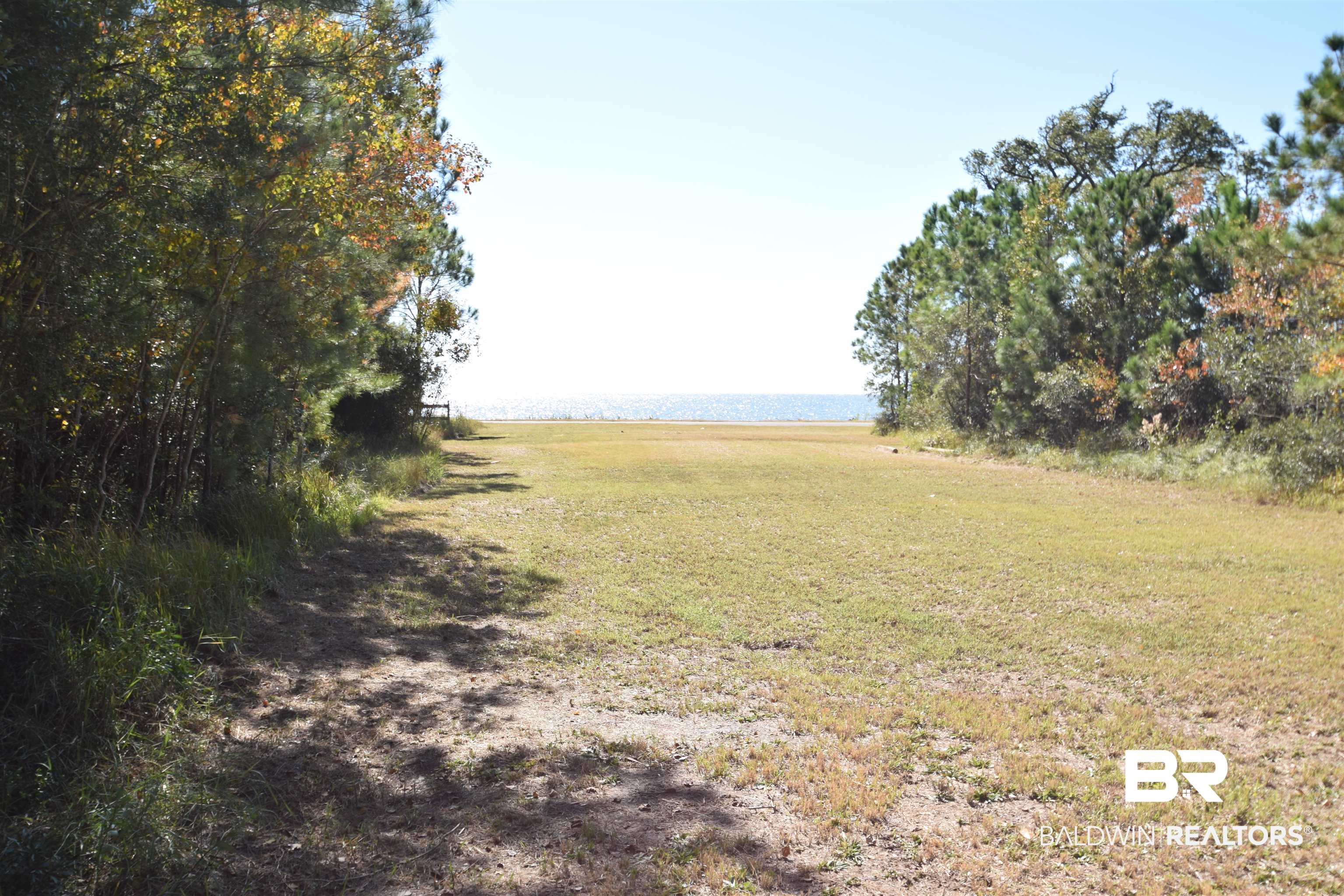 0 Hemley Road Chunchula, AL 36521 - Photo 11 of 19