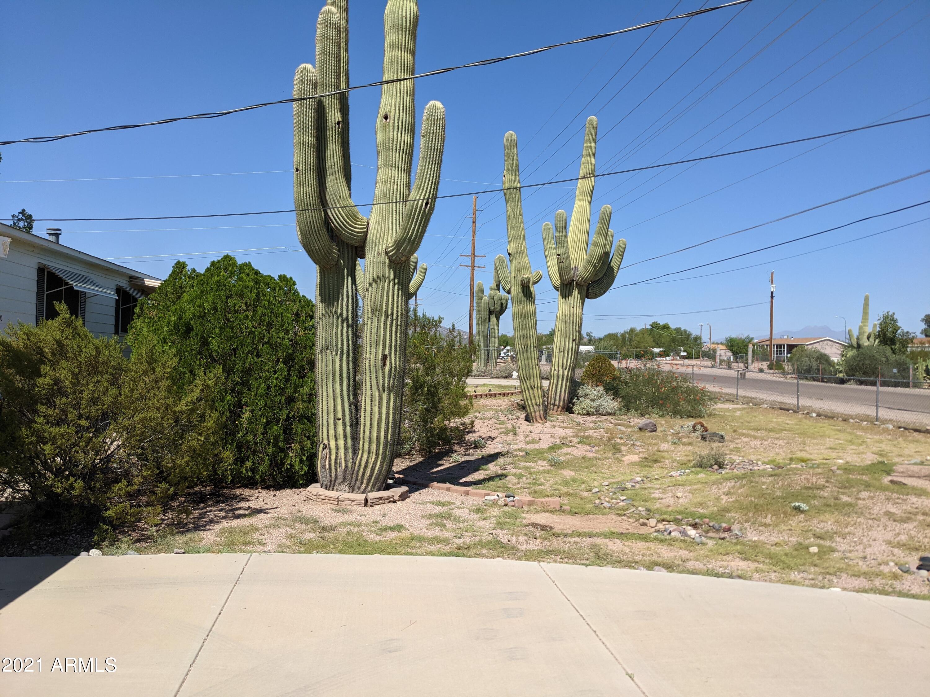 590 North Cactus Road Apache Junction, AZ 85119 - Photo 1 of 34 a view of a house with a yard