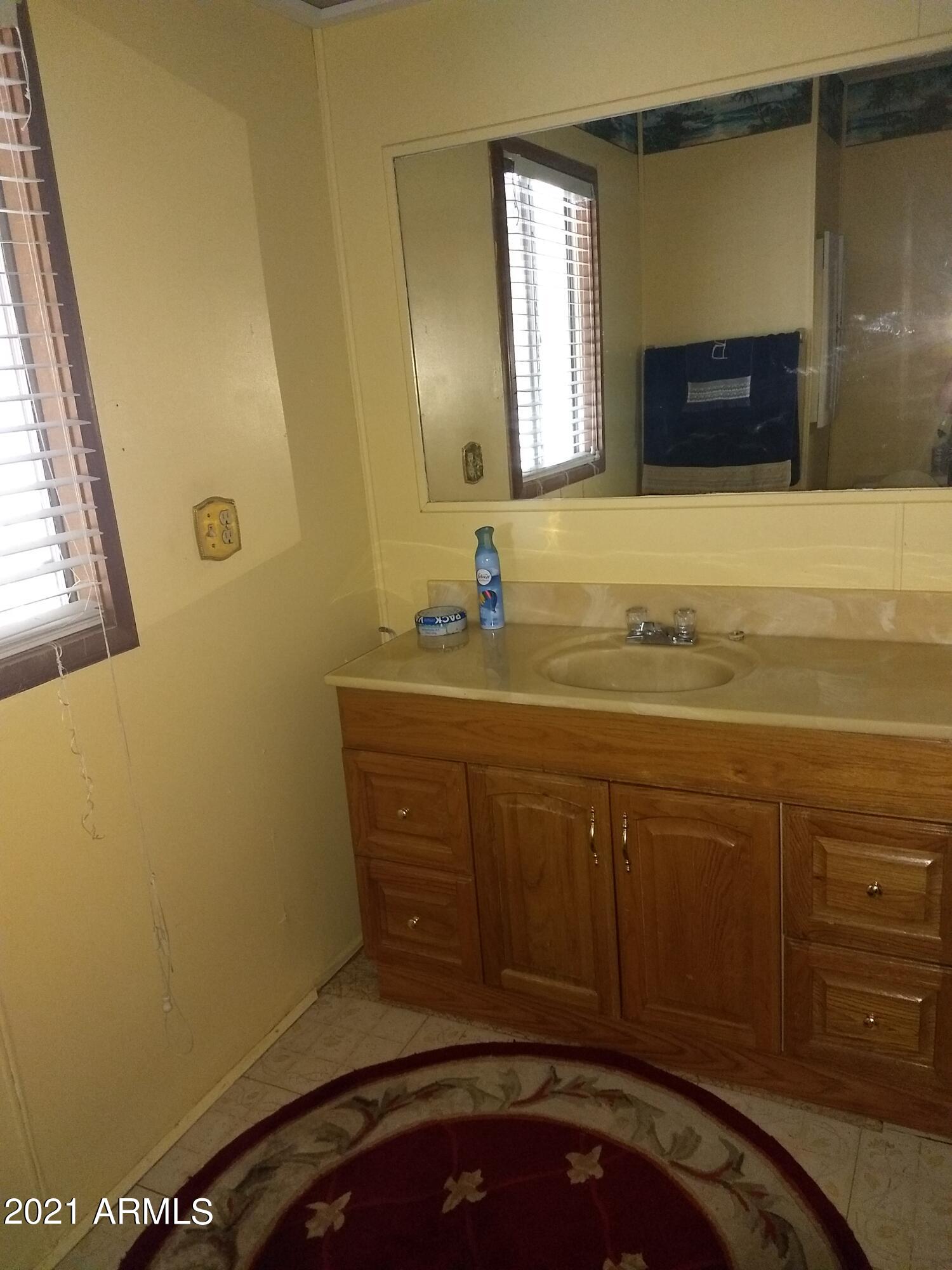 590 North Cactus Road Apache Junction, AZ 85119 - Photo 10 of 34 a bathroom with a sink and a mirror