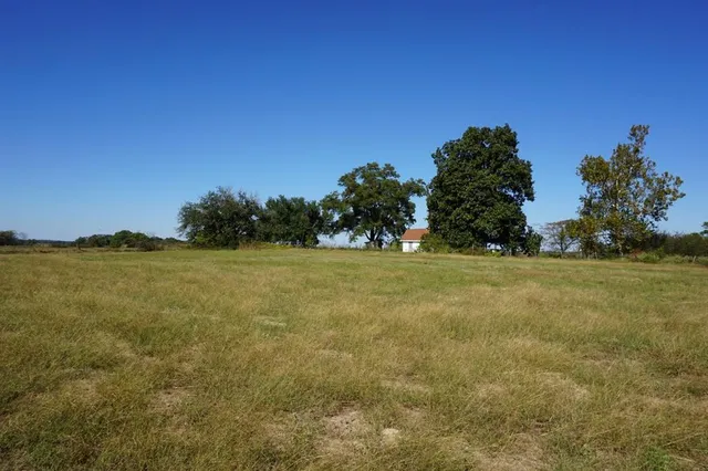a view of a field with an ocean