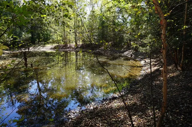 a view of an ocean and beach