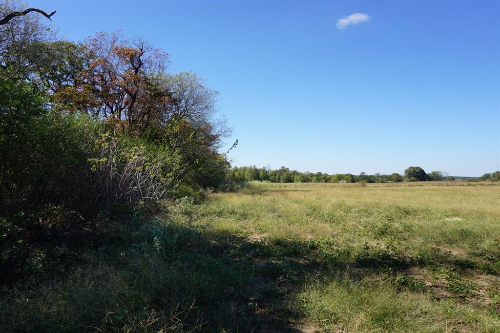 4301 Plainview Road Naples, TX 75568 - Photo 15 of 23 a view of lake