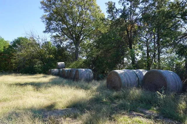 a view of a field with an ocean