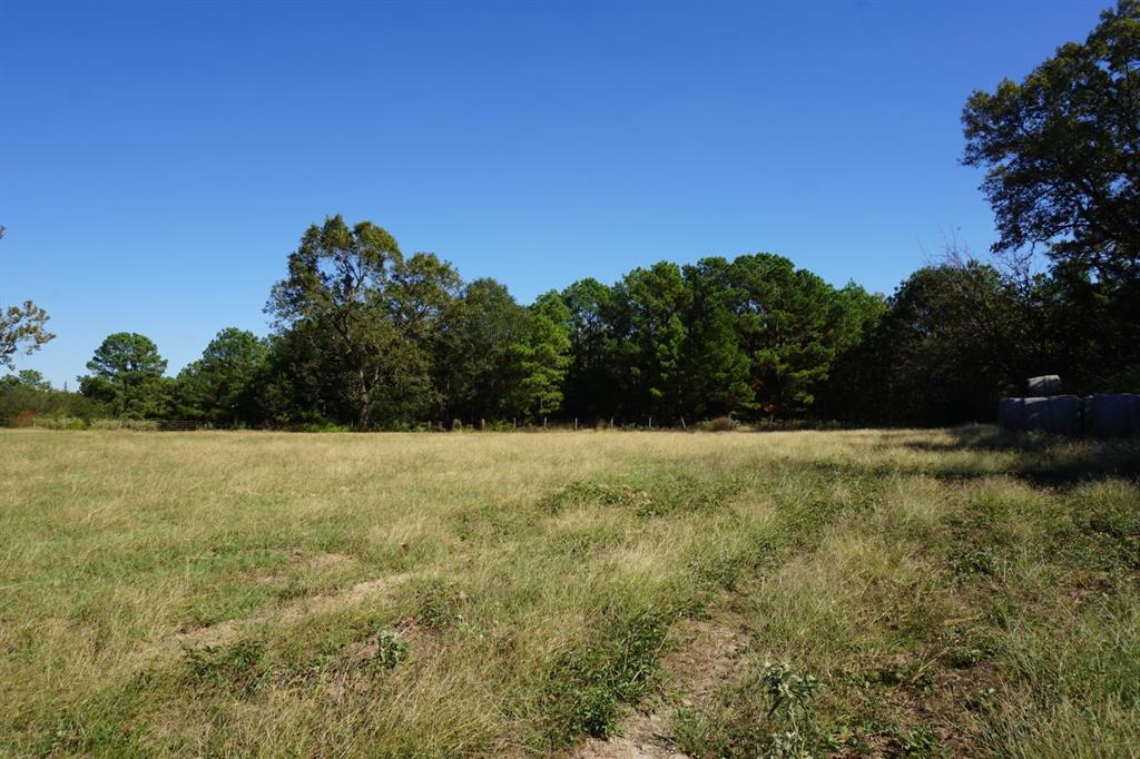 4301 Plainview Road Naples, TX 75568 - Photo 17 of 23 a view of a field with an ocean
