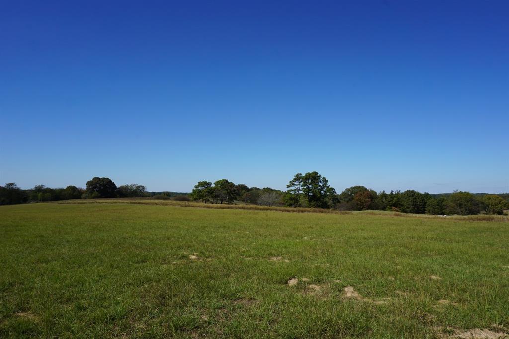 4301 Plainview Road Naples, TX 75568 - Photo 21 of 23 a view of an ocean and a yard