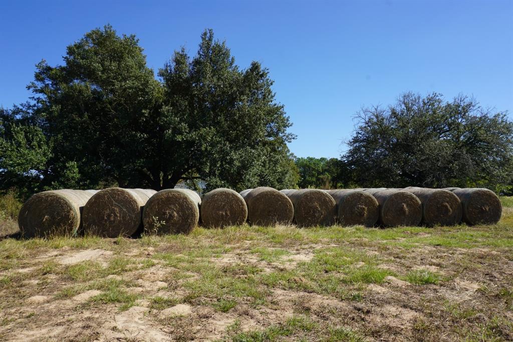 4301 Plainview Road Naples, TX 75568 - Photo 22 of 23 a large pool is sitting in the middle of a field