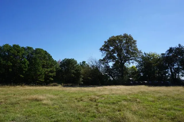 a view of outdoor space with yard