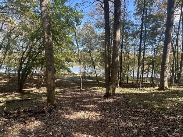 a view of outdoor space with trees