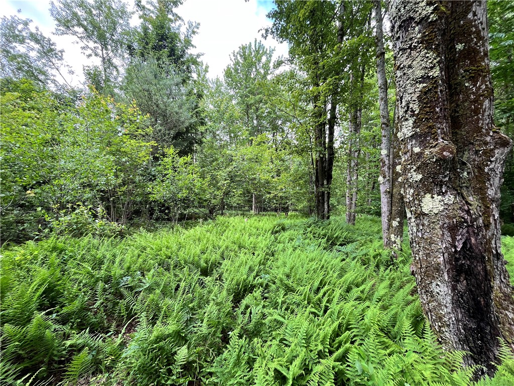 117 Albion Cross Road Parish, NY 13131 - Photo 21 of 34 Gallery Image 21