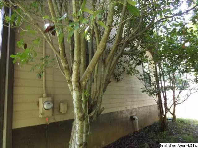 11594 Gurley Road Woodstock, AL 35188 - Photo 3 of 11