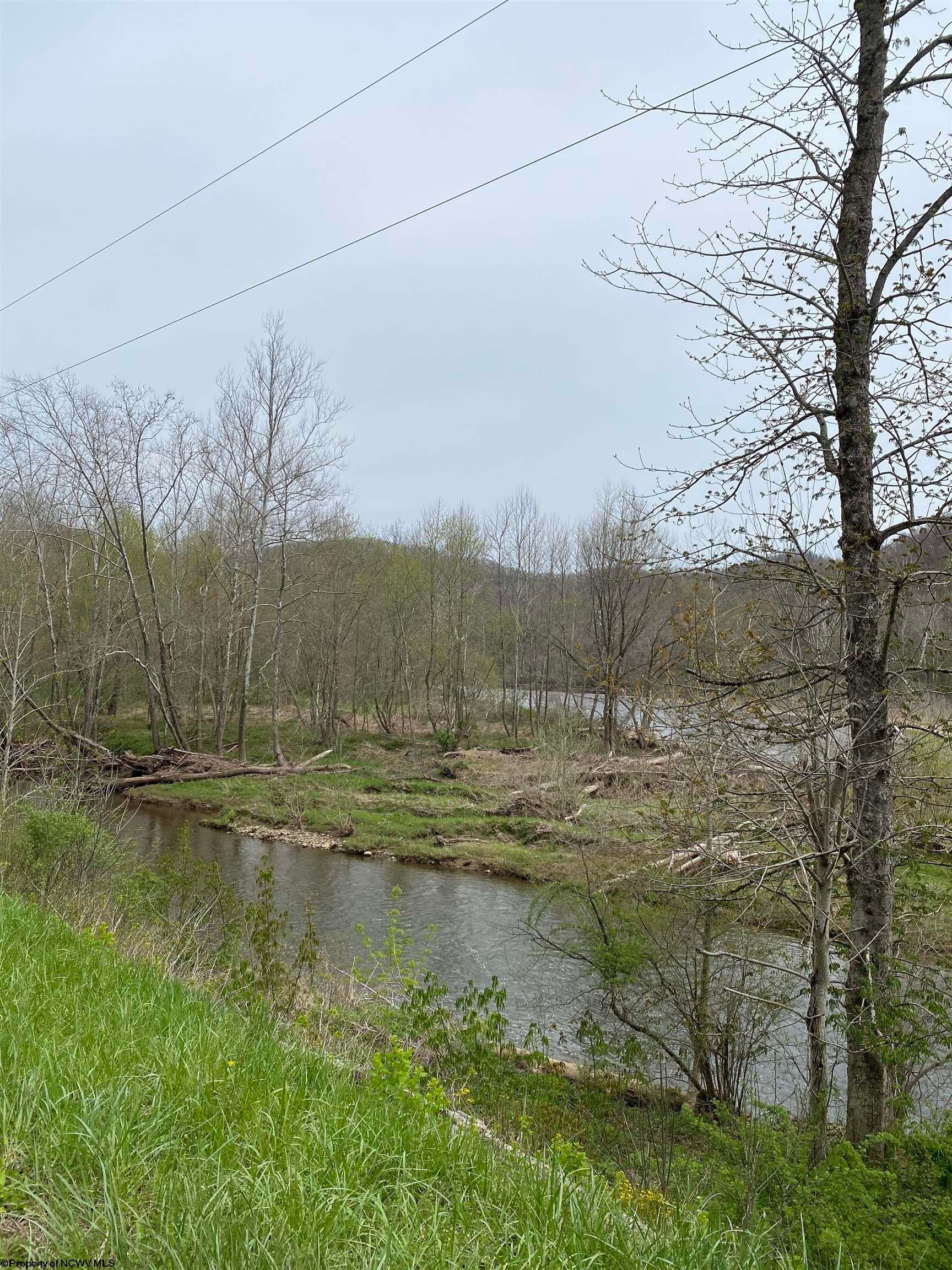 72 Rt Parsons, WV 26287 - Photo 2 of 7 Gallery Image 2