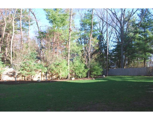 3 Marlboro Road Lexington, MA 02421 - Photo 18 of 18 a view of yard with green space