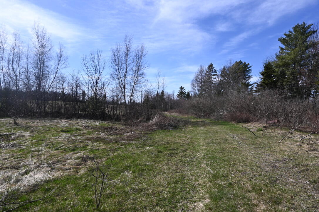 4315 Airline Road Baileyville, ME 04694 - Photo 7 of 58 0516C2AB-F1A5-4286-9087-922024087D57_1_1