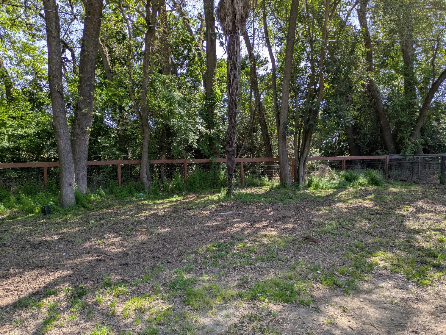 25931 Thornton Road Thornton, CA 95686 - Photo 27 of 31 a backyard of a house with lots of green space
